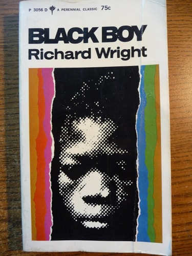 Black Boy: (American Hunger): A Record of Childhood and Youth
