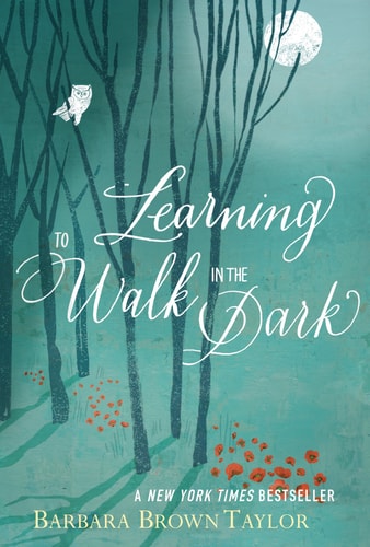 Learning To Walk In The Dark