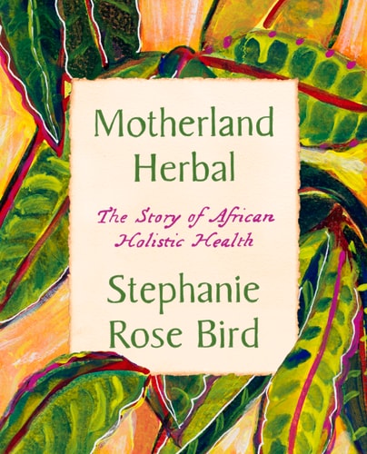 Motherland Herbal - by Stephanie Rose Bird (Paperback)