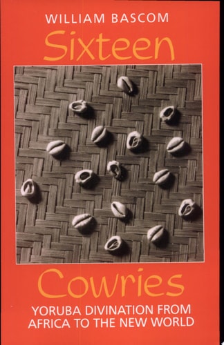 Sixteen Cowries
