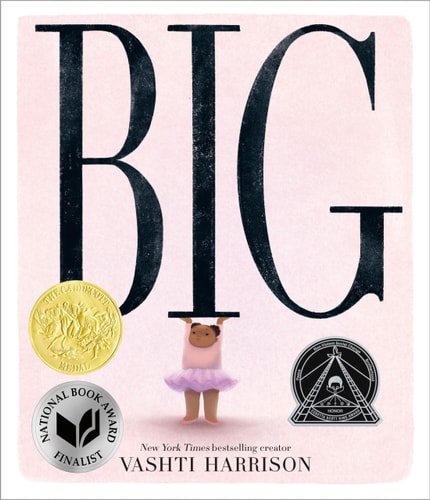 Big - by Vashti Harrison (Hardcover)