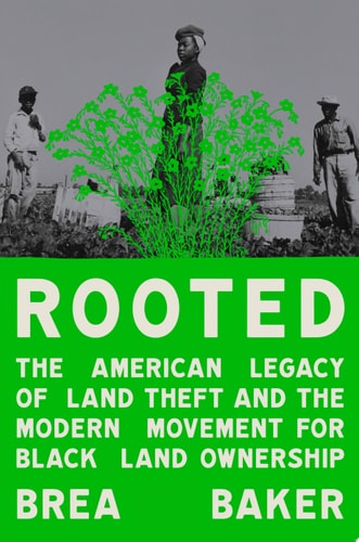 Rooted - by Brea Baker (Hardcover)