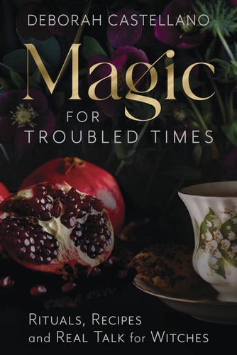 Magic for Troubled Times : Rituals, Recipes, and Real Talk for Witches
