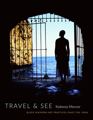 Travel & See : Black Diaspora Art Practices Since the 1980s (Paperback)
