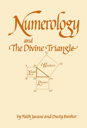 Numerology and the Divine Triangle - by Faith Javane & Dusty Bunker (Paperback) (paperback)