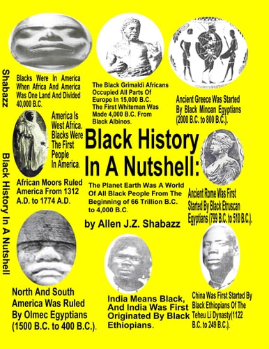 Black History in a Nutshell