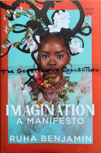 Imagination A Manifesto