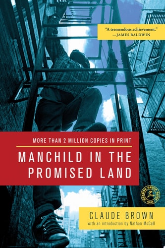 Manchild In The Promised Land