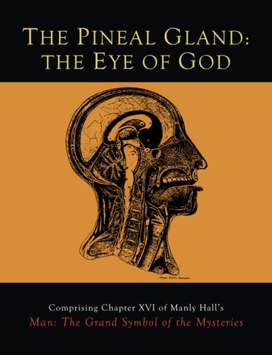 The Pineal Gland : The Eye of God (Paperback)