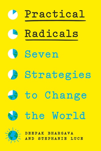 Practical Radicals - by Deepak Bhargava & Stephanie Luce (Hardcover)