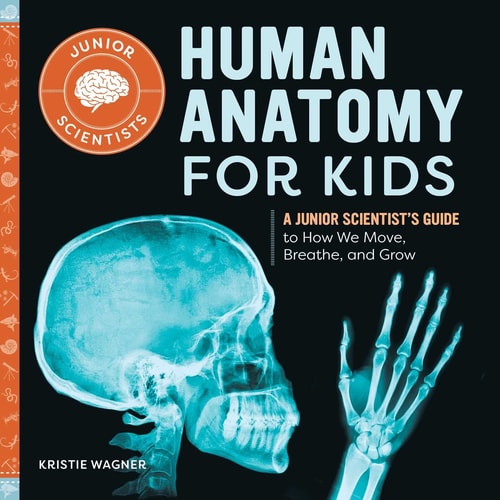 Human Anatomy For Kids