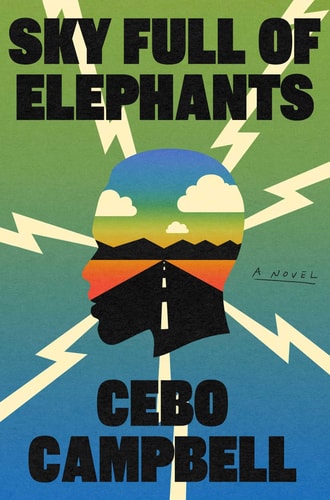 Sky Full of Elephants - by Cebo Campbell (Hardcover)