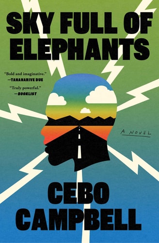 Sky Full of Elephants - by Cebo Campbell (Hardcover)