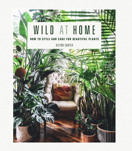 Wild at Home: How to style and care for beautiful plants by Hilton Carter