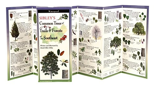Sibley's Trees of Trails & Forests of the Southeast