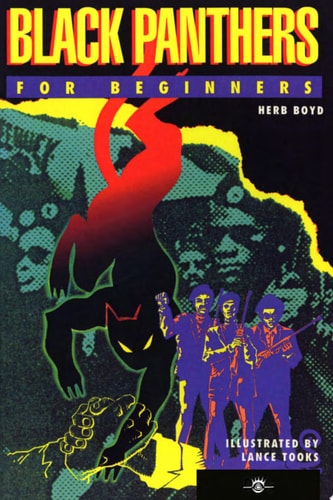 Black Panthers For Beginners