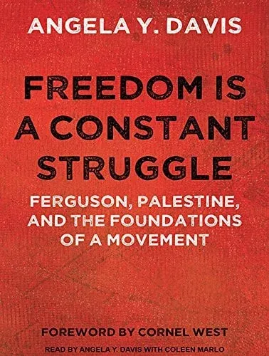 Freedom is a Constant Struggle: Ferguson, Palestine, and the Foundations of a Movement