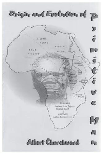 Origin and Evolution Of Primitive Man